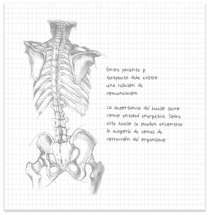 centro fisioterapia sevilla centro fisioterapia sevilla