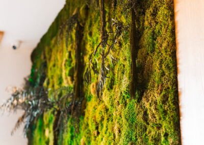 pared con musgo decorativo