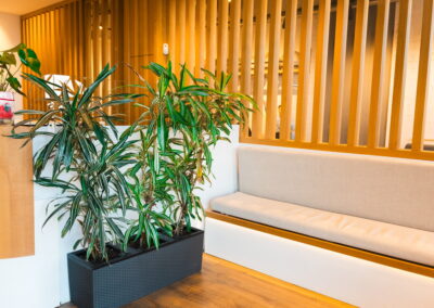 planta de la recepcion