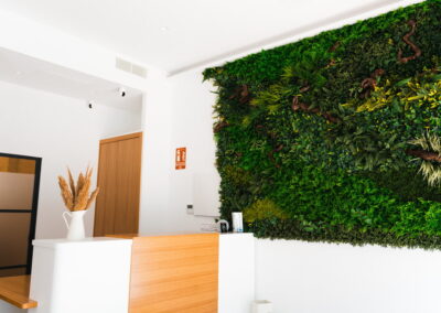 recepcion de la clinica con pared de hierba